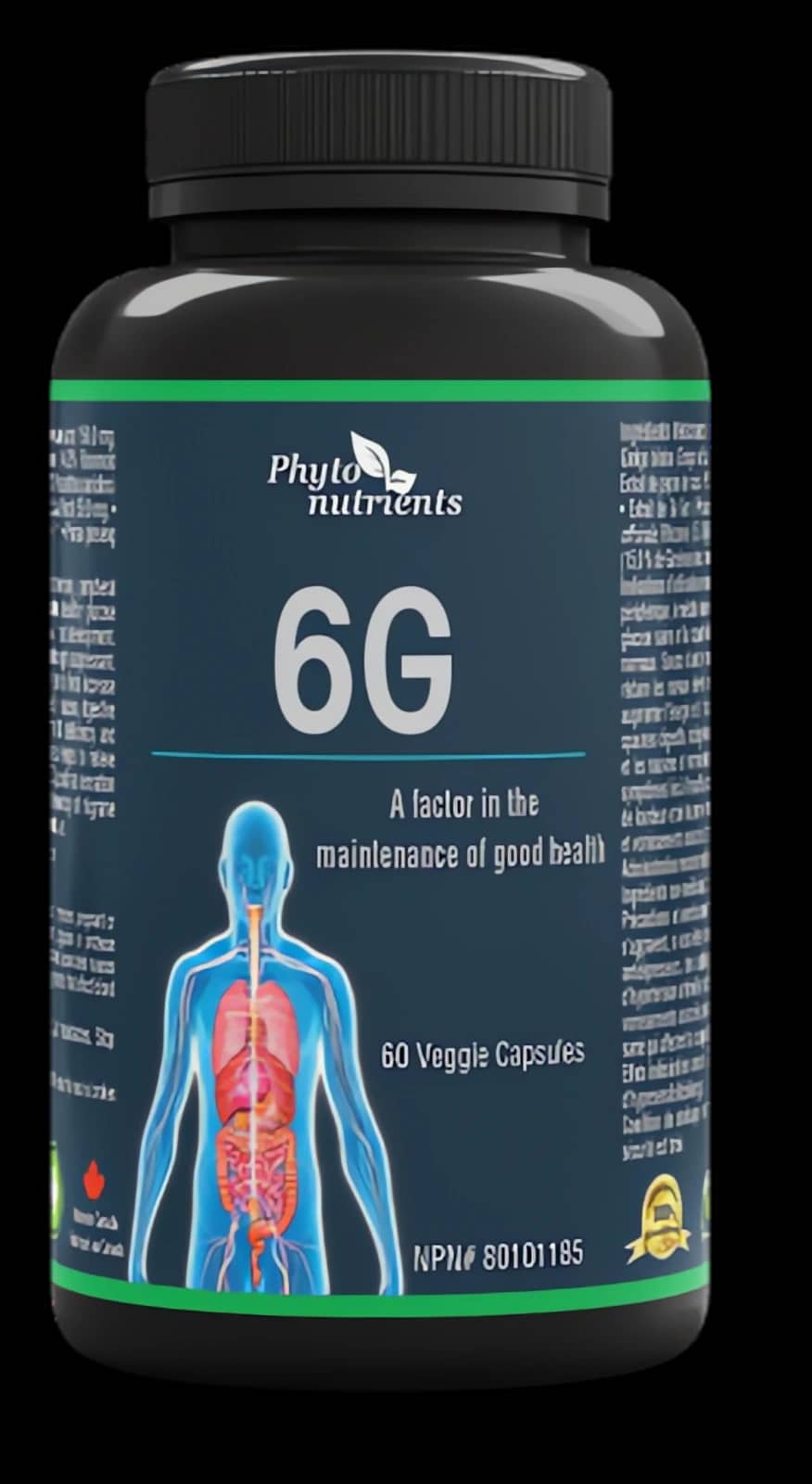 6G