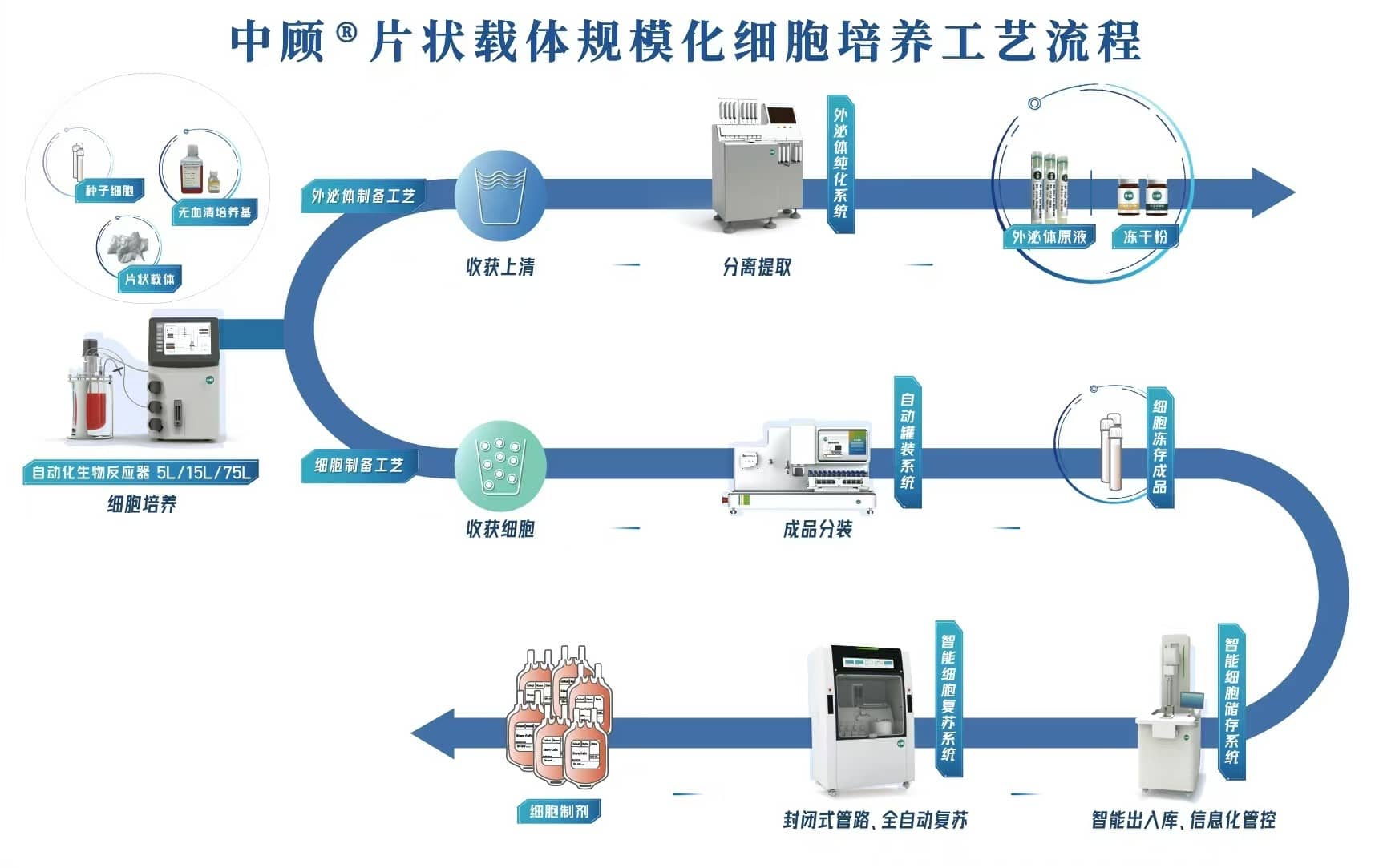 中顾®片状载体规模化细胞培养工艺